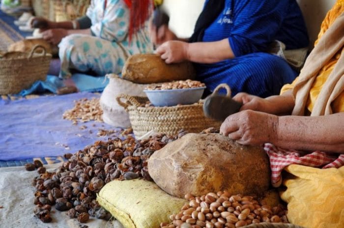 المغرب والأمم المتحدة.. انطلاق فعاليات الاحتفاء باليوم العالمي الأول لشجرة الأركان بأكادير