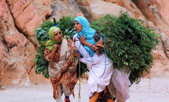 النساء القرويات يضطلعن بدور هام في مجال الأمن الغذائي