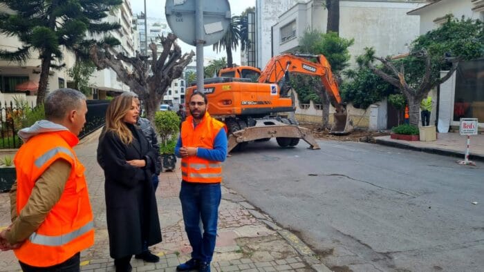 مقاطعة سيدي بليوط توضح أسباب اجتثاث 132 شجرة بشارع حسن السكتاني كنزة شرايبي، رئيسة مقاطعة سيدي بليوط بشارع حسن السكتاني