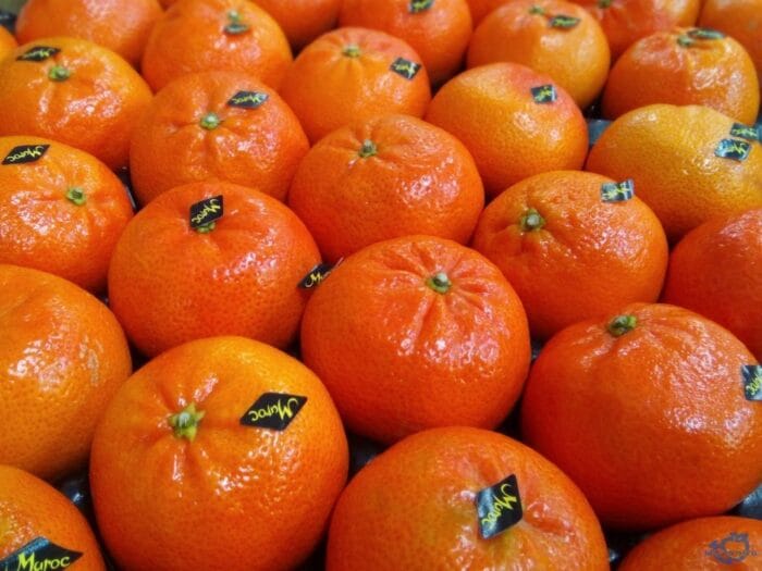 “موروكو فودكس” تعلن نجاح ولوج الحوامض المغربية للسوق اليابانية