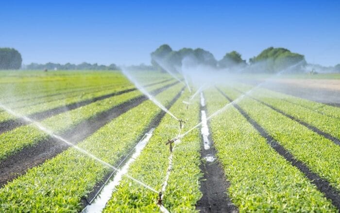 مطالب برلمانية بمراجعة السياسة الفلاحية لضمان السيادة الغذائية والحفاظ على الموارد المائية