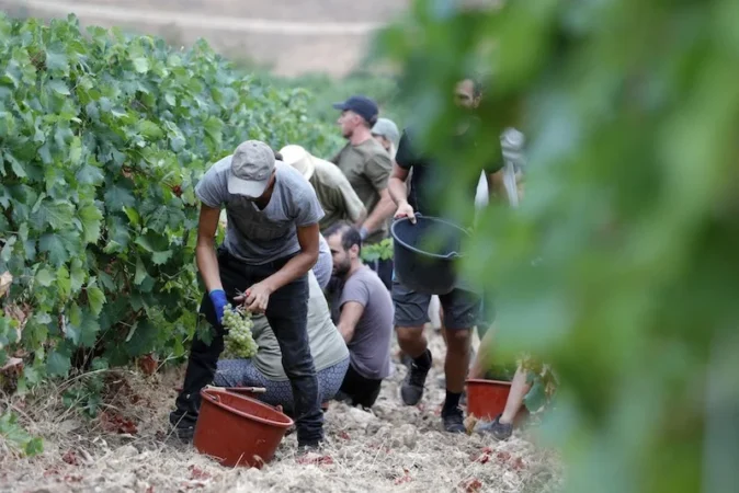 إطلاق برامج جديدة لتأطير تنقل اليد العاملة بين المغرب وأوربا في الفلاحة والفندقة