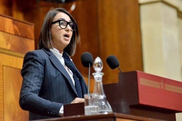 منيب: تمرير قانون المحاماة “تغول تشريعي” و”انقلاب مؤسساتي”